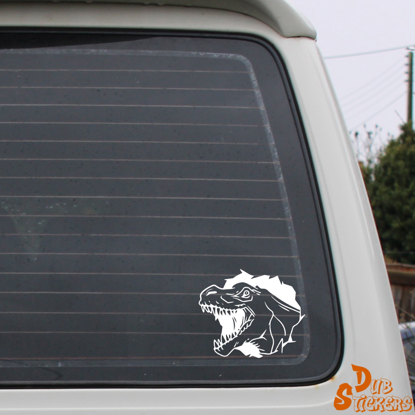 T Rex Head Decal Vinyl Waterpoof Sticker Campervan Laptop Window