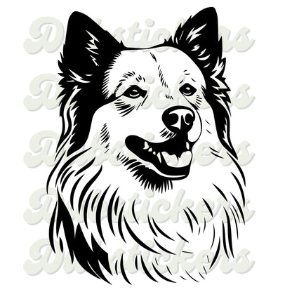 American Eskimo Dog Decal