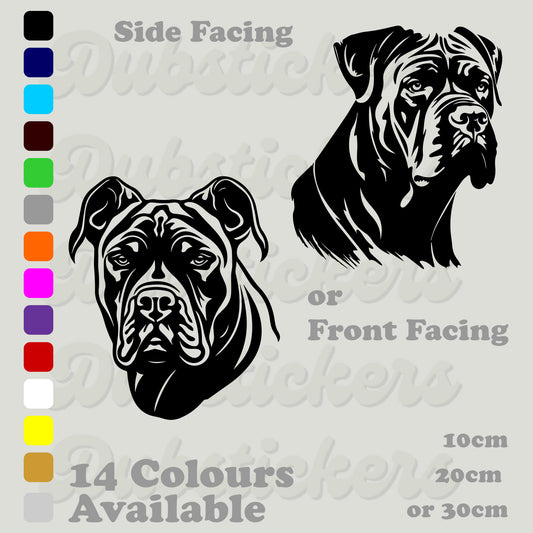 Cane Corso Decal